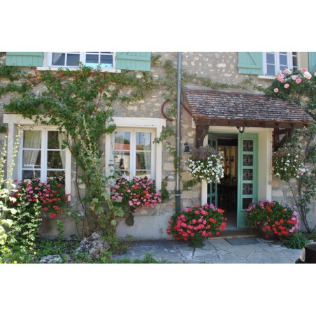 Chambre d'Hôte 77 Moret Sur Loing